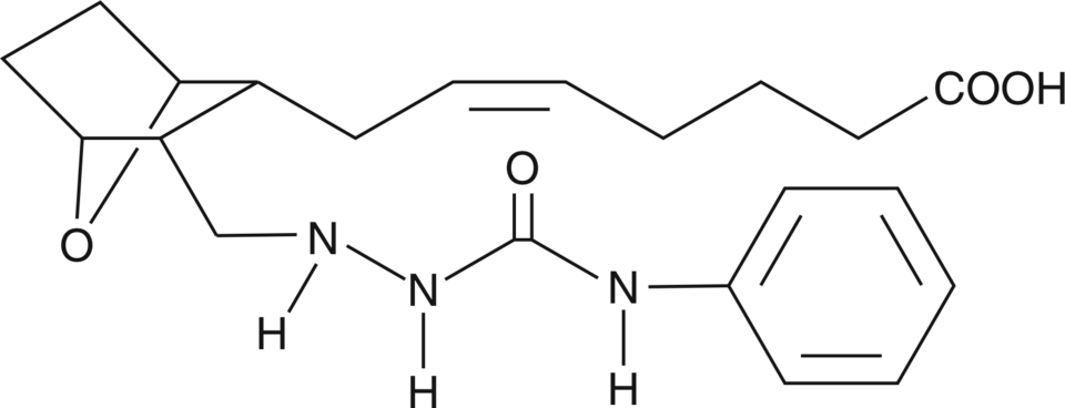 SQ 29,548 (CAS Number: 98672-91-4) | Cayman Chemical